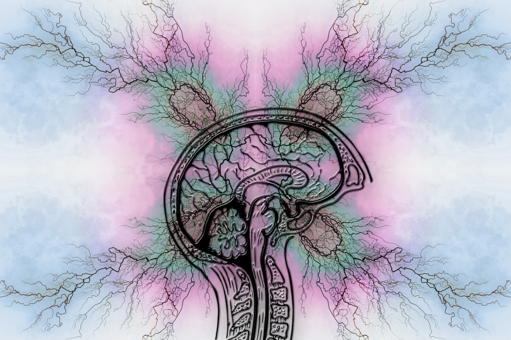 Abstract illustration of a brain with tree-like structures symbolizing the neural complexity of ADHD.